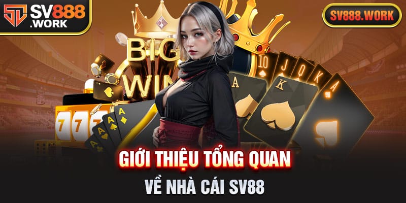 GIOI-THIEU-TONG-QUAN-VE-NHA-CAI-SV88